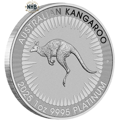 1 oz Australian Kangaroo Platinum Coin (2025)