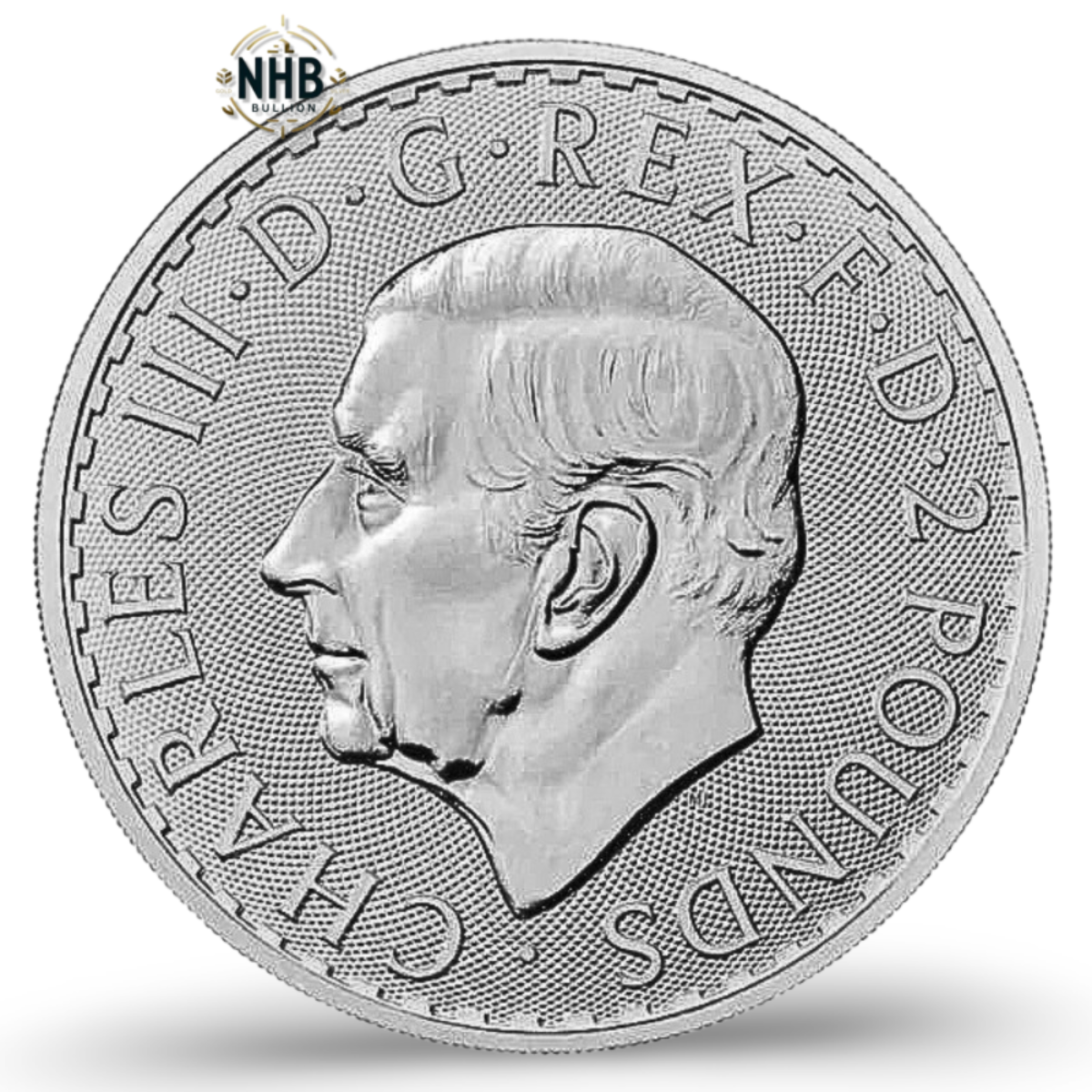1oz Britannia Silver Coin (Random Year)