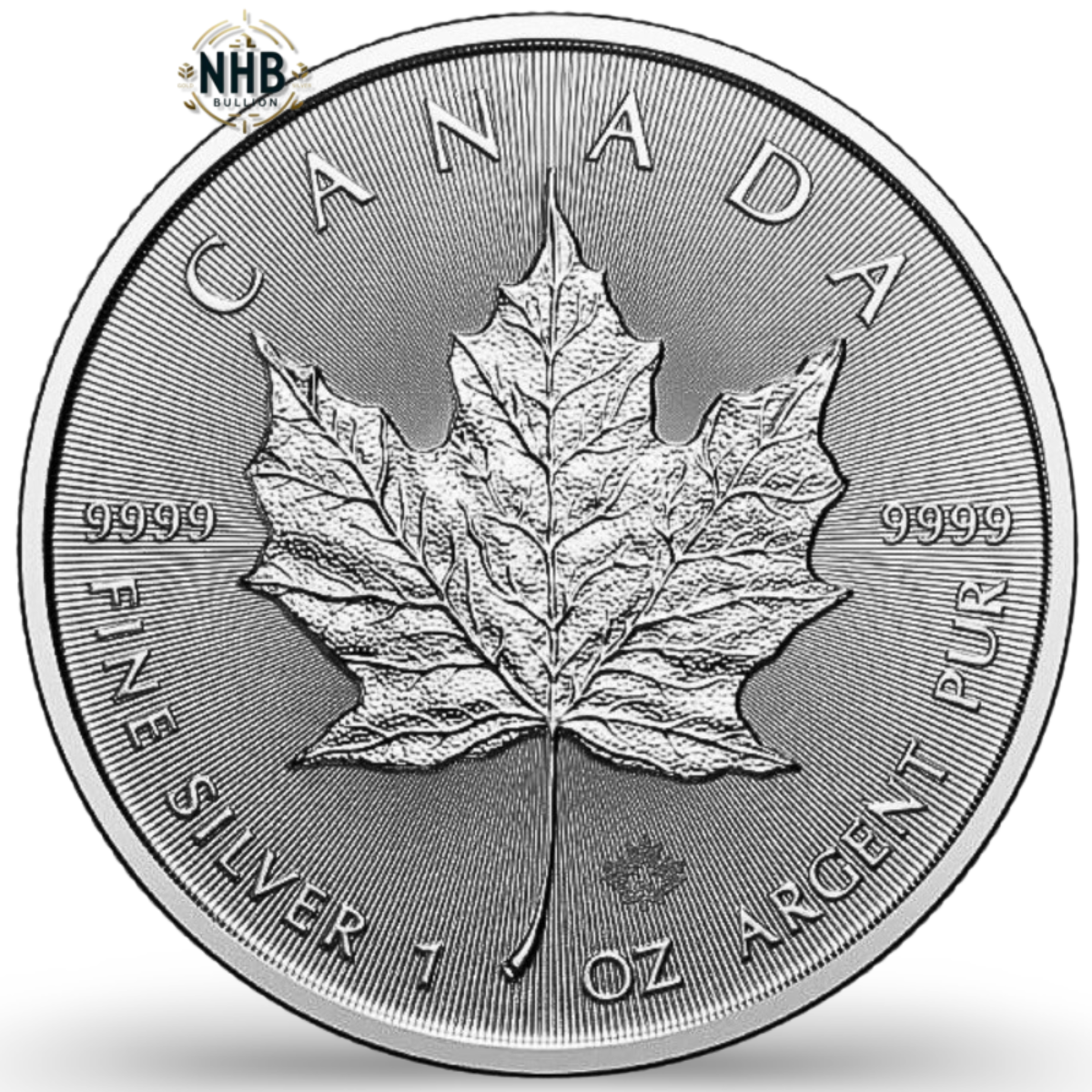 1oz Canadian Maple Leaf Silver Coin (2024)