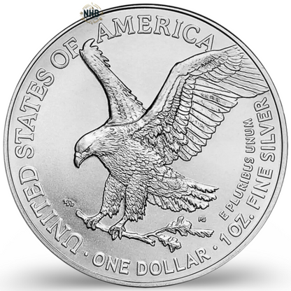 1oz American Eagle Silver Coin (2024)